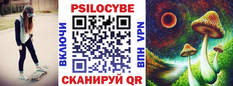 как найти закладки  Чухлома  Галлюциногенные грибы Psilocybe 